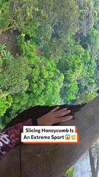 Slicing Honeycomb Is An Extreme Sport 😱 🍯 #oddlysatisfying #honey #bees