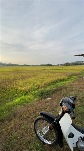 Exploring the Beauty of Perlis, Malaysia