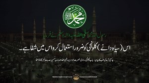 520K views · 10K reactions | POWER FULL ESSENTIAL WITH KALONJI | Power Full | Facebook