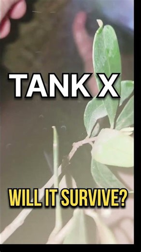 Water Jet in the Projector Vents?! #TankX #RuggedPhone #durabilitytest #jerryrigeverything