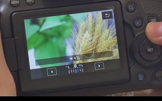 摄影技巧：如何在相机里处理RAW 格式图片