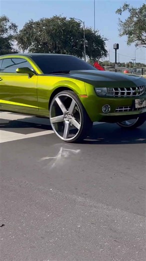 Chevy Camaro on 30” DUBs riding