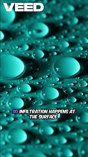 Infiltration vs Percolation Explained #agriculture #horticulture #botanylovers #agrifuture