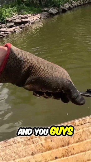 Magnet Fishers Find Mysterious File and Hammer with Name! #shorts