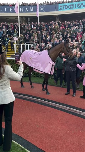 UK Race Results: Winning Horse Highlights