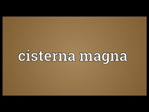 Cisterna magna Meaning