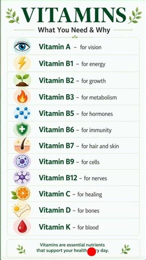 Daily Vitamins Made Simple – A Complete Guide |