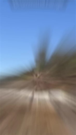 when they ask you and your bestie to run a 42 deckker stockie #locomotive #train #queensland #stoc #CapCut