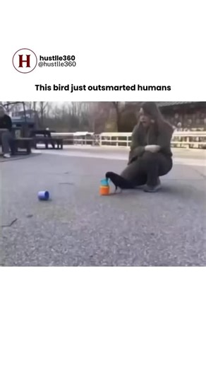 H360 on Instagram: "Crows aren’t just ordinary birds — they’re tiny geniuses with wings! 🤯 These incredible creatures have been seen using tools, solving puzzles, and even remembering human faces. Researchers say crows can plan for the future, recognize themselves in mirrors, and think through problems just like young children do! 🪞💡 Nature never fails to surprise us — the next time you see a crow, remember, it might be watching and learning from you! 👀 Hashtags: #smartanimals #naturefacts #