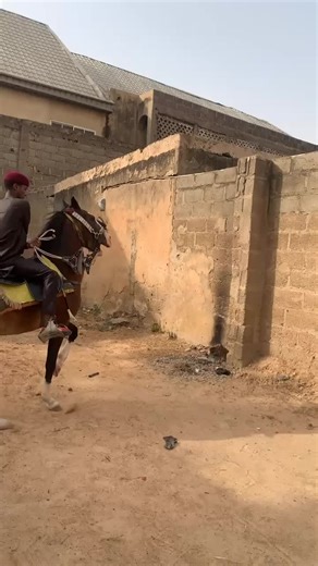 Horse Riding in Kano, Nigeria: Traditional Horsemanship in Northern Nigeria
