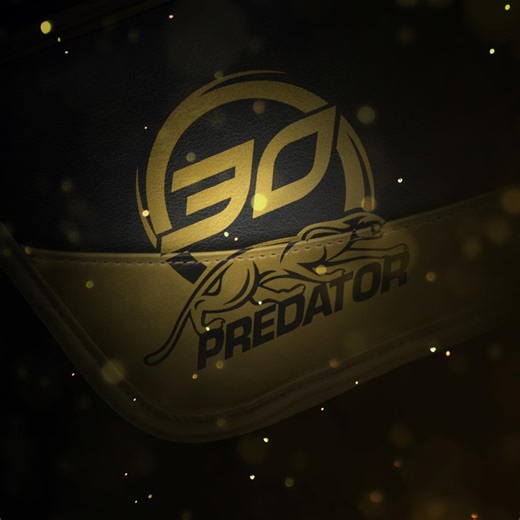 Predator APEX Slate Professional Pool Tables | The Ultimate Playing Experience