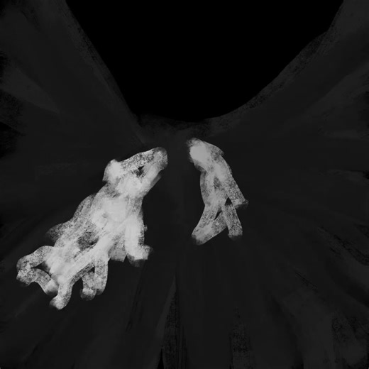 2798. 그림자 속 사냥꾼들