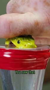 1.3M views · 5.6K reactions | Green Mamba vs Black Mamba… Who is DEADLIER? We answer that question on today’s special Black (Mamba) Friday episode… live NOW on the Brave Wilderness channel  | Brave Wilderness | Facebook