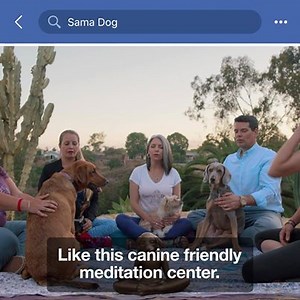 369K views · 890 reactions | Local businesses use Facebook to grow and spread positive vibes in San Diego. See how this dog-friendly meditation center does it. | Facebook | Facebook