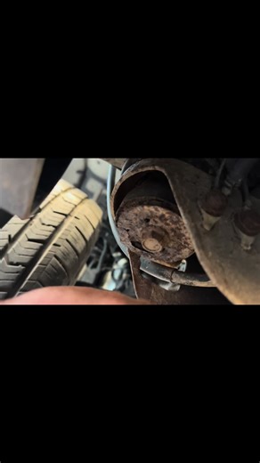 Unraveling the Mystery of Pharaoh's Curse on Horses