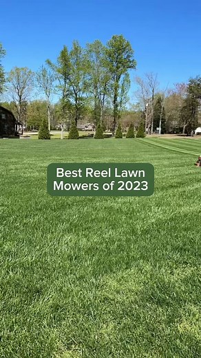 The best lawn mowers of 2023 👀 comment if you own one of these! #lawnmower #lawntok #lawnstarter #GrassExpert #lawnservice #lawnmowing