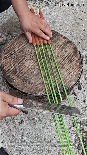 How to Cut and Prepare Cattails Step-by-Step