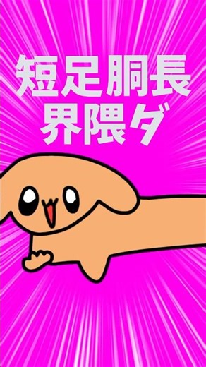 短足胴長界隈の曲作ってみた #shorts #短足胴長 #犬 #オリジナル曲