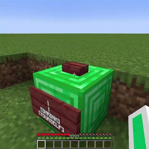 Entering the Cursed Bee Nest in Minecraft