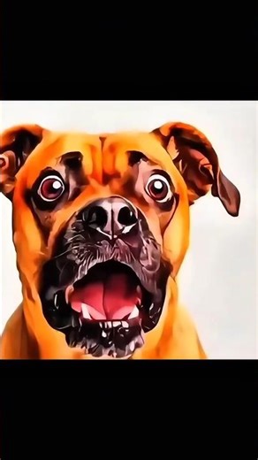 ye kya ho gya 😲😯😮😦😧😨😰