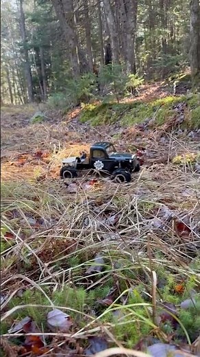 Traxxas trx4 power wagon custom built