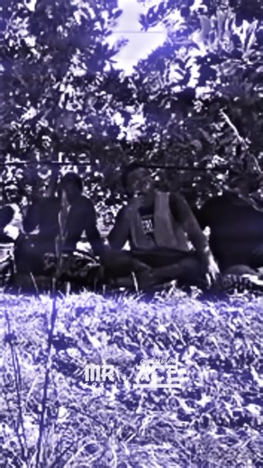 Samoa Dance Trends on TikTok: Discover the Fun!