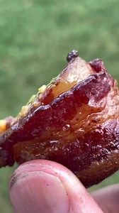 1.8M views · 22K reactions | Smoked pig shots  #bbqlovers #bacon | Ninjacue | Facebook