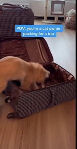 3.4M views · 2.1K reactions | There has never been a better time to upgrade your cat litter. | PrettyLitter | Facebook