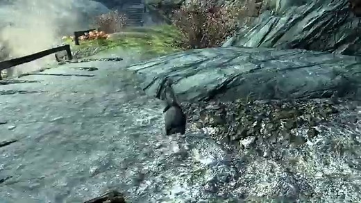 Rabbits of Skyrim