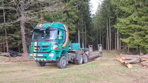 6x6 Tiefladerprofi 8 / | Harvester Forwarder & More