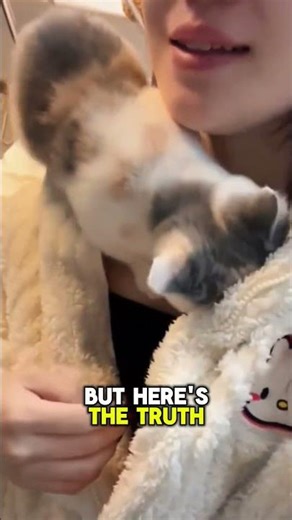 Why Do Cats Sleep on Your Chest 💖😴