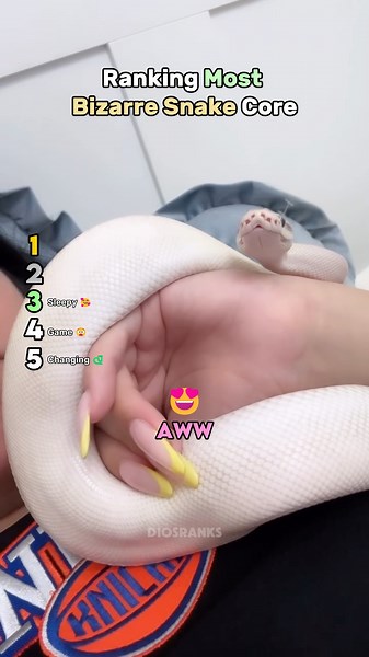 Ranking Bizzare Snake Core (Part 7)