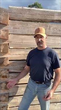 Can Logs Really Insulate Your House?