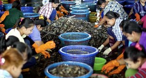 Walmart and Red Lobster are built upon a foundation of slavery and child labor. | RYOT