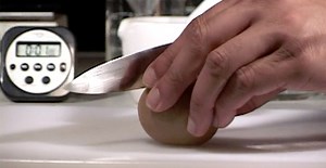 Animal Life Cycles - Annenberg Learner