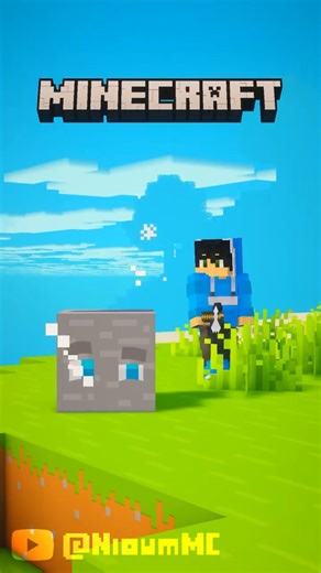 Je me déguise en bloc dans Minecraft...