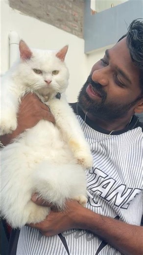 💥My Cat Pregnancy Test 🙈 | Long time wait is ovet 😍😍