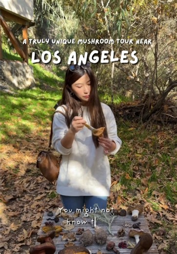 Explore the Unique Mushroom-Picking Tour Near Los Angeles