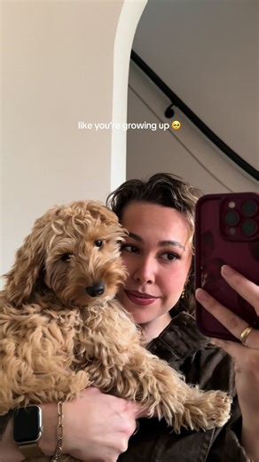 Pls stop growing up😭😭 #puppy #dogmom #cockapoo #puppytips #cockapoolove