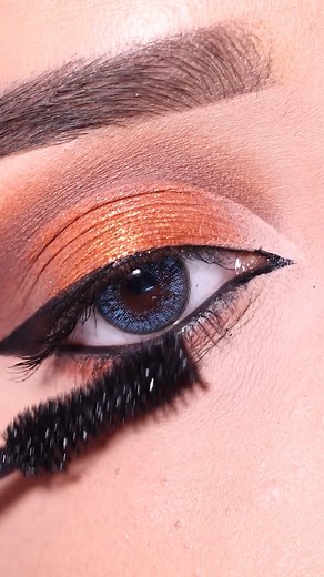 16K views · 619 reactions | Gorgeous Eye Makeup Look! | Learning with Shilpa | Facebook