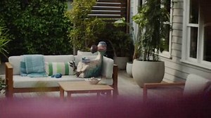 Dodo-Dodo-Next-Door-NBN