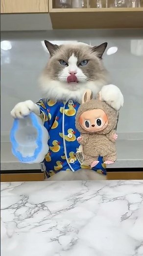 Chinki and Minki are making chocolate toy #cat #shortsvideo