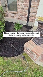 Hear us out!! Have you tried dyeing your mulch? Did it actually reduce weeds, or is it all hype? We would recommend using #MulchGlueMax or #RockGlueMax and #BlackMulchDyeMax (applied separately!) Swipe up for link 🛍️ Share your results and help us solve the mystery! #MulchDyeExperiment #GardenScience | PetraMax