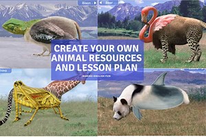 Create An Animal – lesson Plan and Resources.Making English Fun