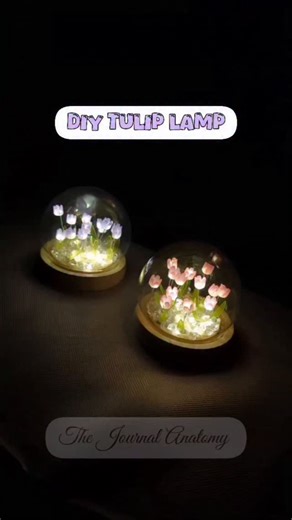 The Journal Anatomy on Instagram: "DIY Tulip Lamp Back In Stock Details: - 13 tulips - DIY - Battery Will Be Provided - Color Options: 2 - Price: 690 Tk"