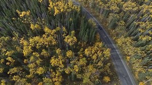 295 reactions · 98 shares | The fall colours surrounding Kathleen Lake in Kluane National Park. Are you here to see the colors? Video by Jassin Godard | Travel Yukon | Facebook
