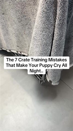 7 Common Crate Training Mistakes for Puppies