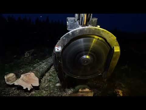 Last day of cutting for me for awhile!