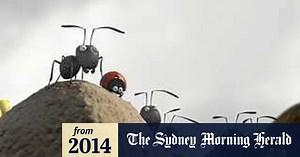 Minuscule: Valley of the Lost Ants review: Little to excite in this French animation