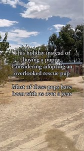 13K views · 7.8K reactions | If you are interested in learning more...